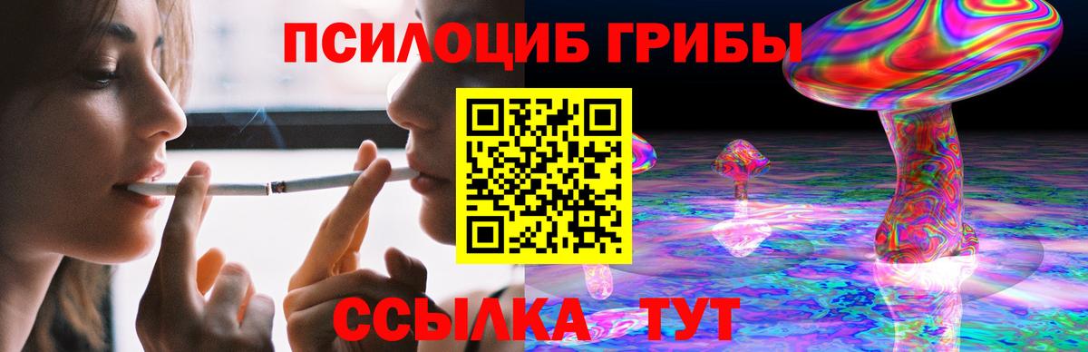 Псилоцибиновые грибы прущие грибы Белая Калитва